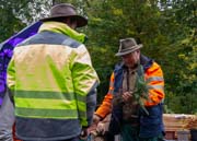 D80_4588-Verbessert-RR